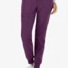 Heartsoul Scrubs Break On Through Women's 6-Pocket STRETCH Elastic Cuff Jogger Scrub Pants -Cherokee Shop HL030 EGGPL 1